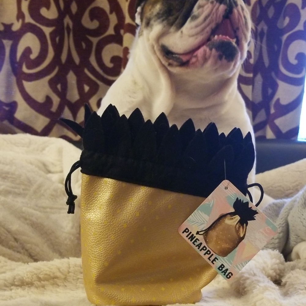 5/25$ Pineapple bag